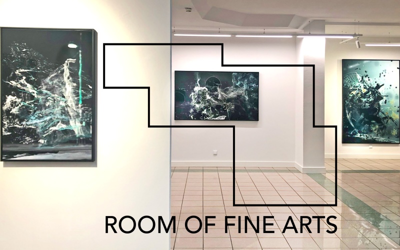 ROOM OF FINE ARTIST