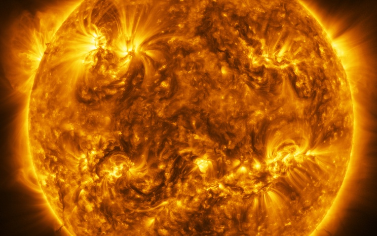 In die Sonne