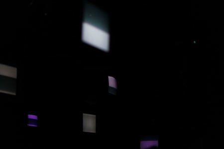 Paradise 003